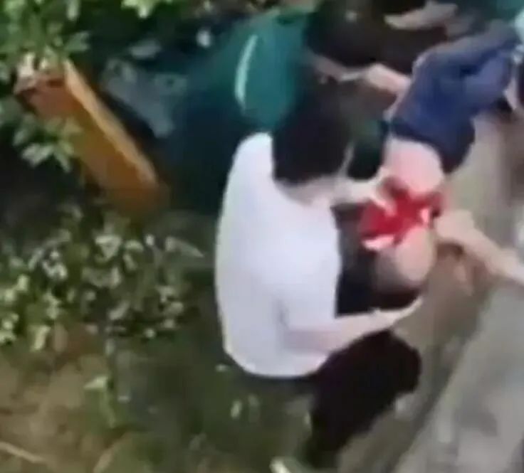 游戏专题 第224页