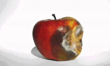 游戏专题 第222页