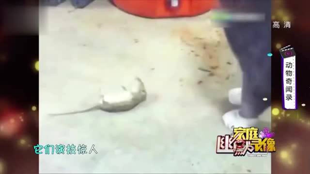 热点生活 第8页